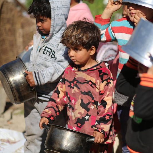 Gaza Crisis: A Time for Global Aid